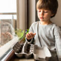 Eco-Friendly Window Upgrades That Actually Add Home Value in 2025